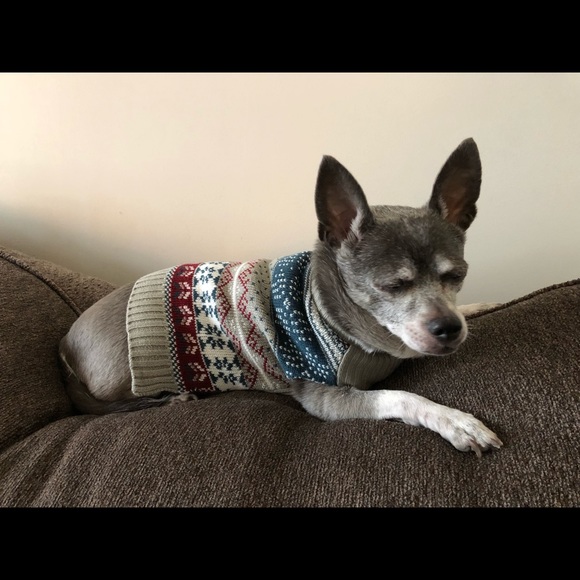 About me! - Picture 6 of 8